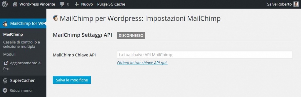 MailChimp su WordPress-API